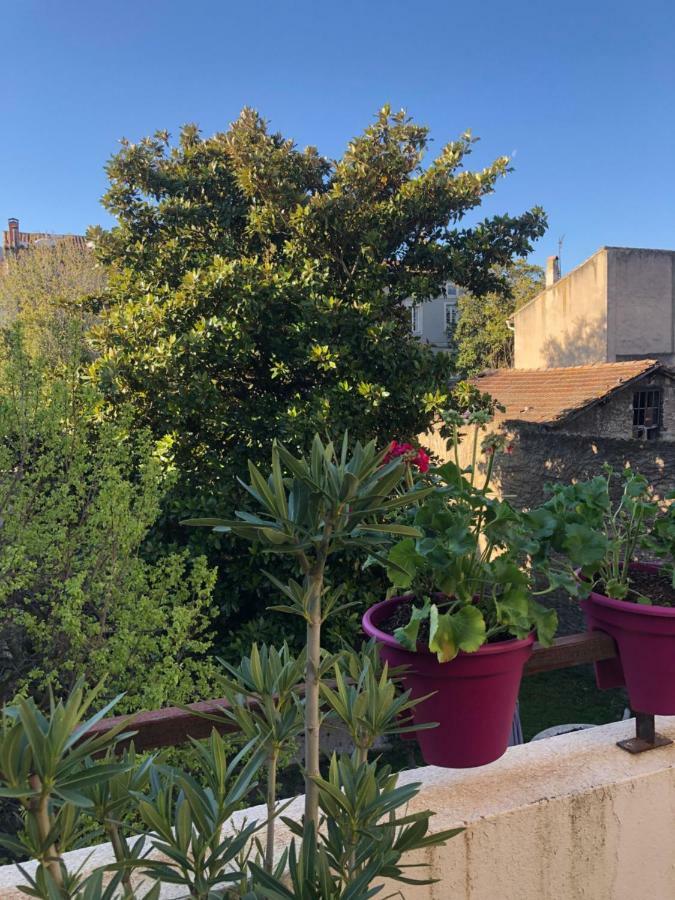 B&B - Le Jardin Du Palais Каркассон Экстерьер фото